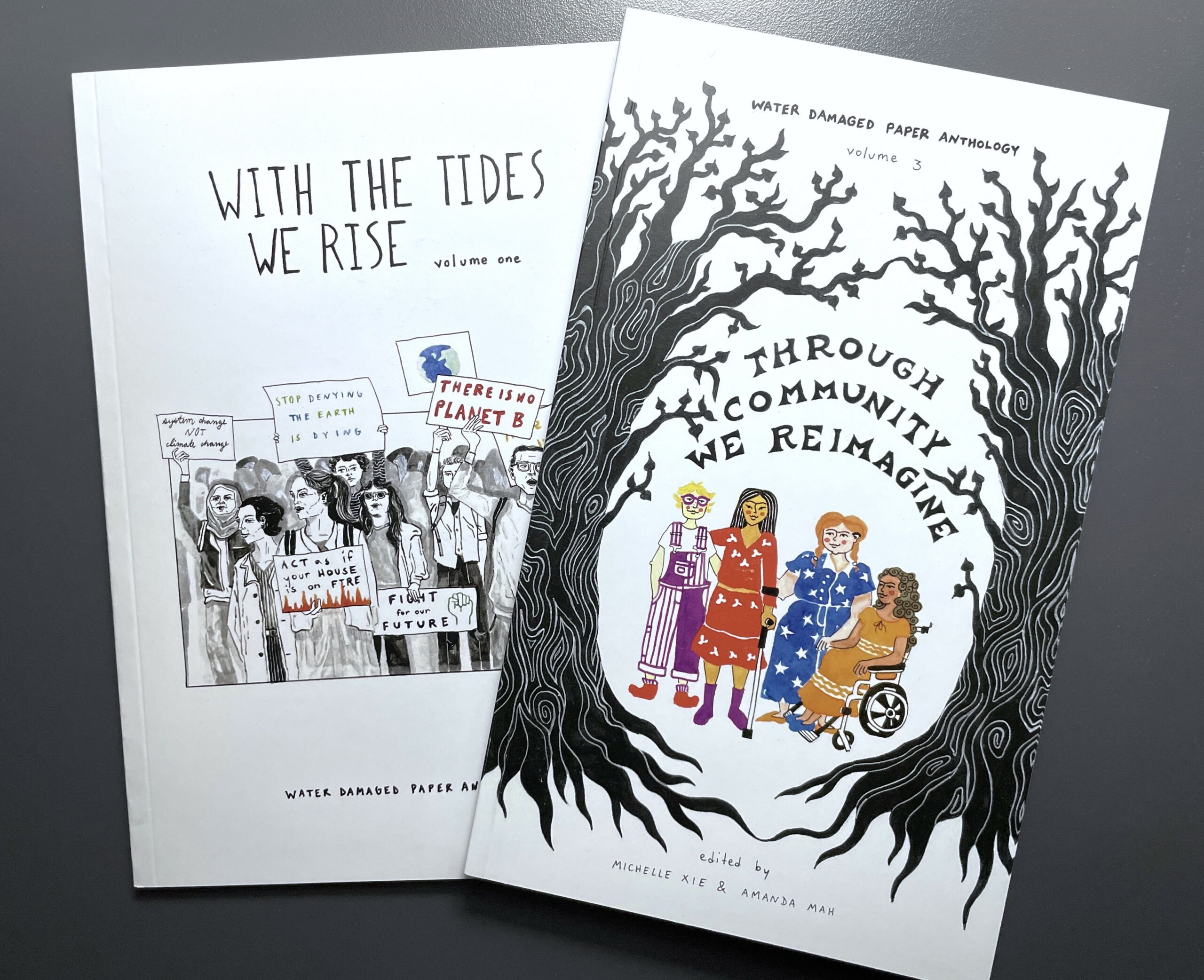 Photo of 2 anthology books.