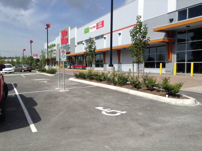A photograph of an accessible parking spot in a parking lot on a sunny day