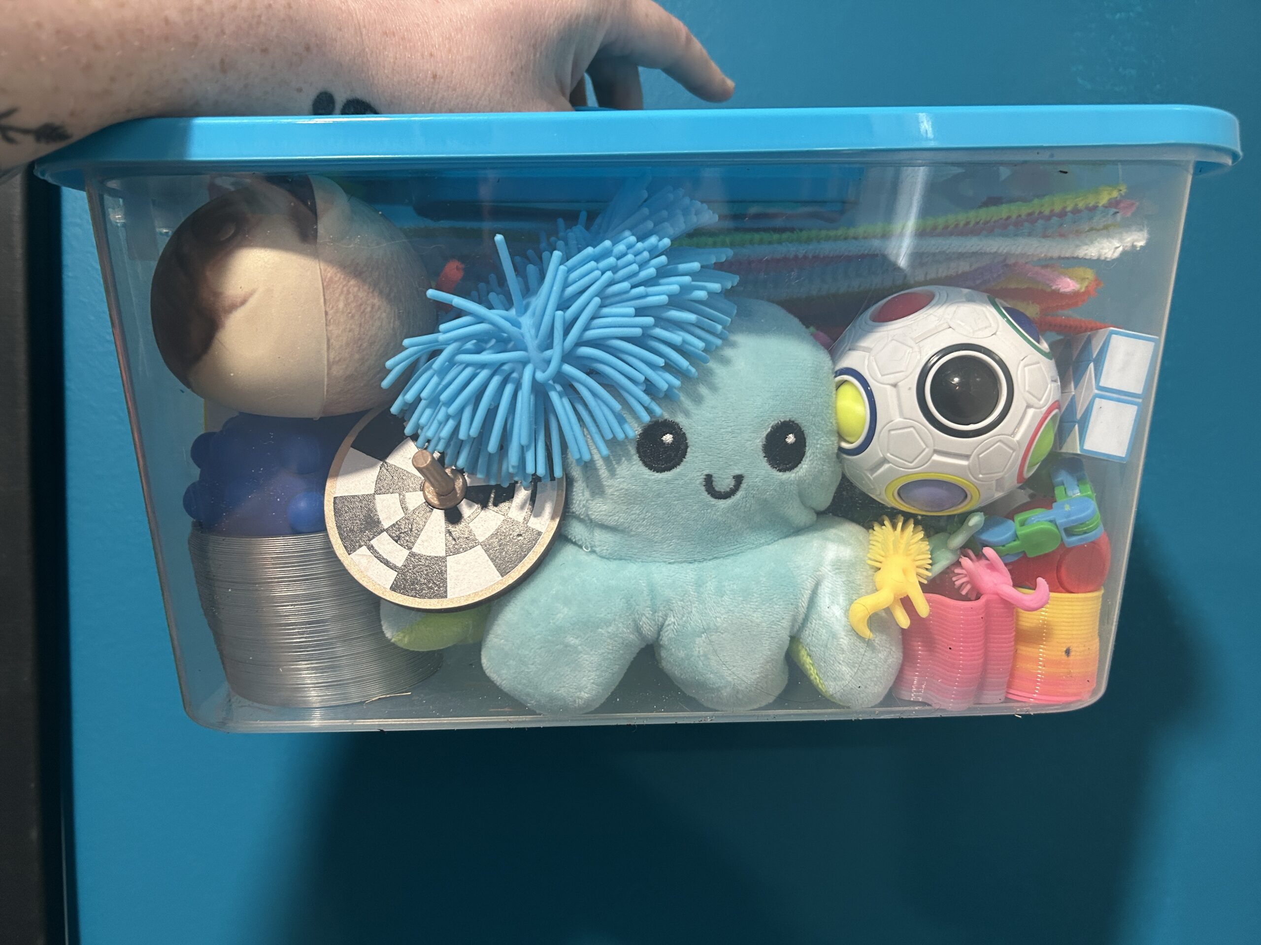 (Sensory kit of random items.)